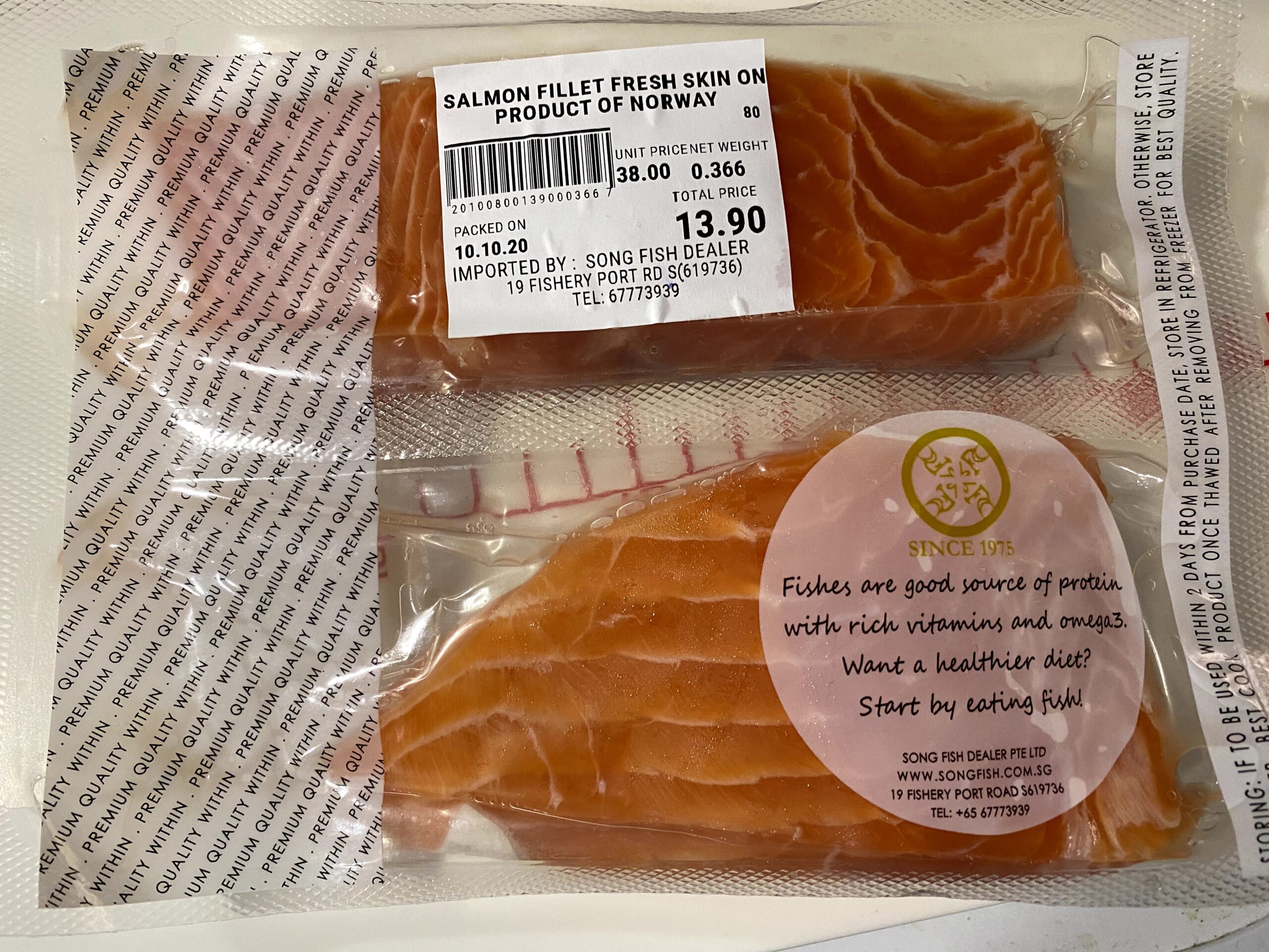 songfish salmon02